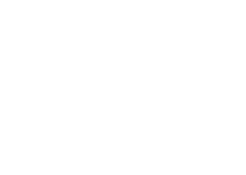 ace project marketing group logo